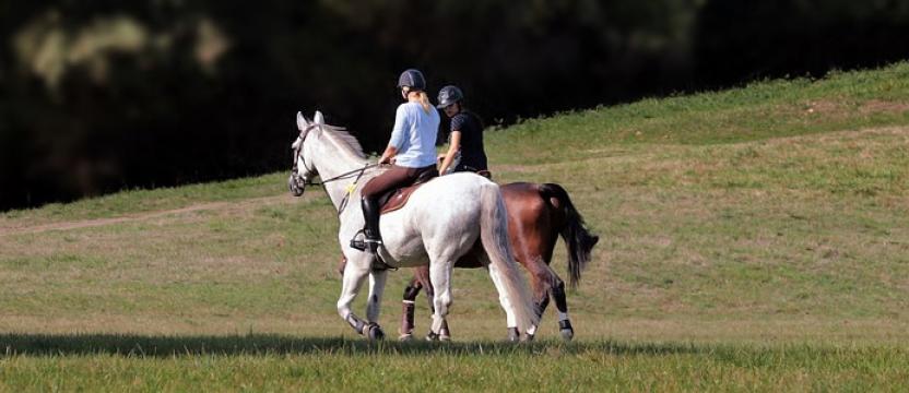 Suck Valley Way Equestrian