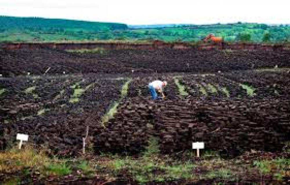 Suck Valley Way Peat Bogs